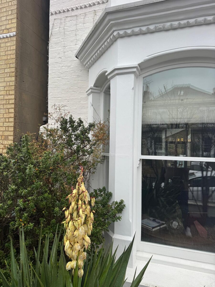 Curved bay timber sash window on a white rendered Victorian terrace